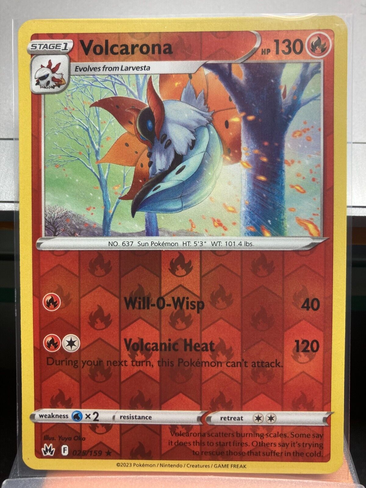 Picture 20 of 96