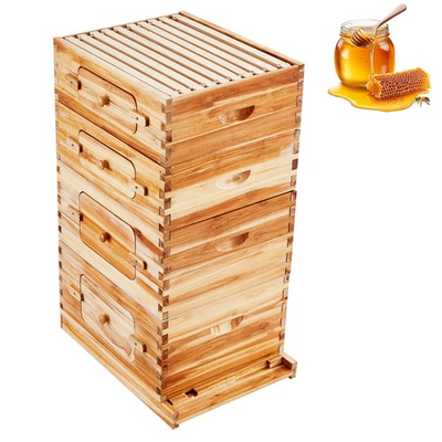 #ad Bee Hive Langstroth Kit 20 Deep amp; 20 Medium Frames with Acrylic Windows $179.99