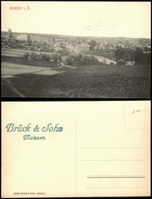 Ansichtskarte Rochlitz Fernblick auf die Stad...