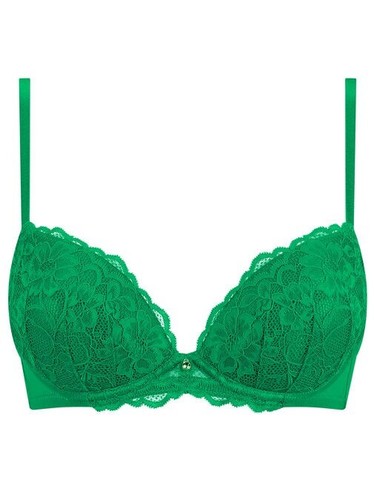 Ann Summers Sexy Lace Padded Plunge Bra & Cheeky Shorts Green 32A~44G - Picture 14 of 16
