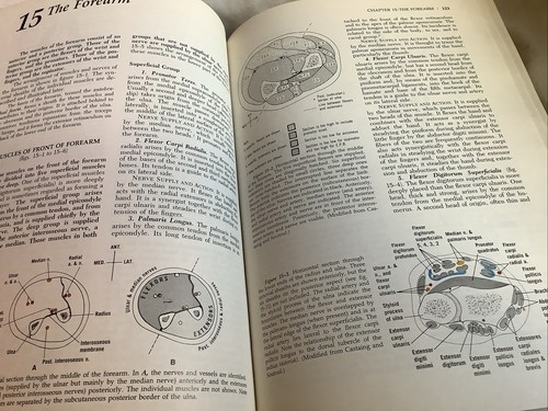 Gardner, Gray & O'Rahilly - Anatomy (1986 HC 5th edition) - LIKE NEW!! - Picture 6 of 8