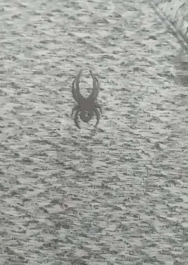 Spyder Active Quarter Zip Pullover Gray Men's Med… - image 4