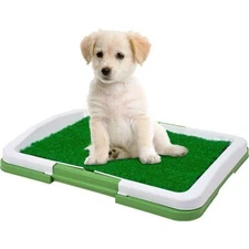 Puppy Potty Trainer Indoor Fake Grass Dog Training Patch Restroom 18.5 X 13 IN