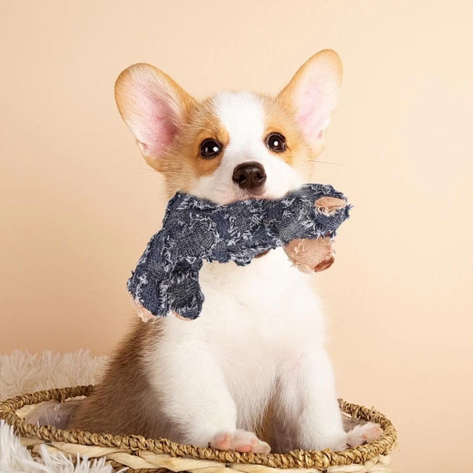 Giocattolo Interattivo per Cani – Peluche da Masticare con Suono a Forma di An - Immagine 2 di 4