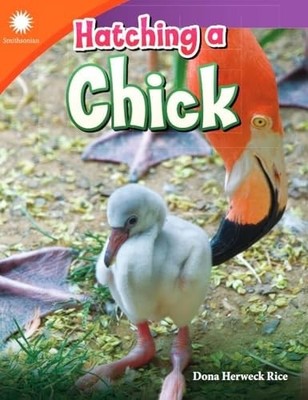 Hatching a Chick -  NEW Dona Herweck Ri 2019