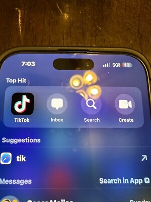 Apple iPhone 16 Pro Max - 256 GB - Black (Unlocked) with TikTok app installed 