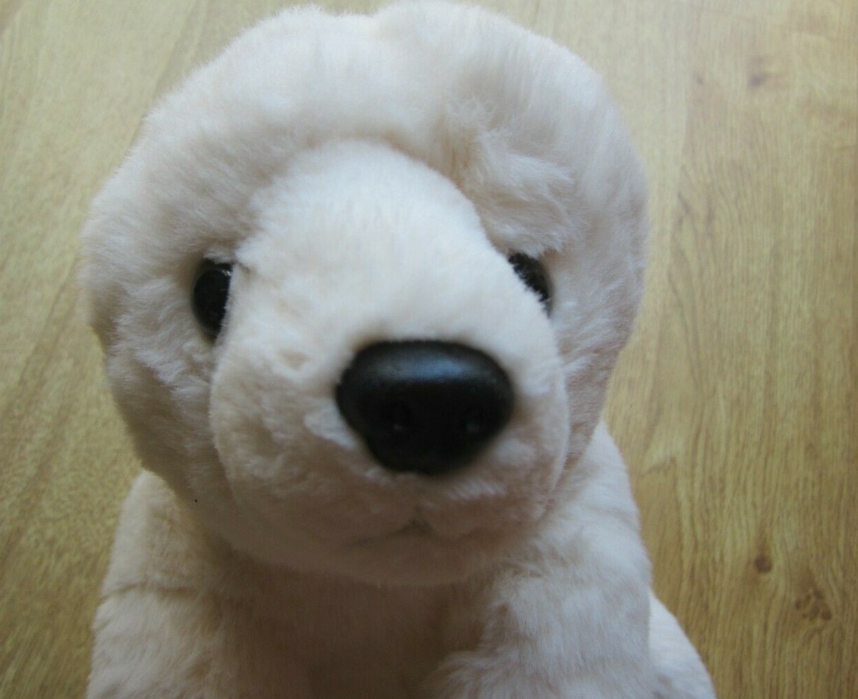 Picture 4 of 8