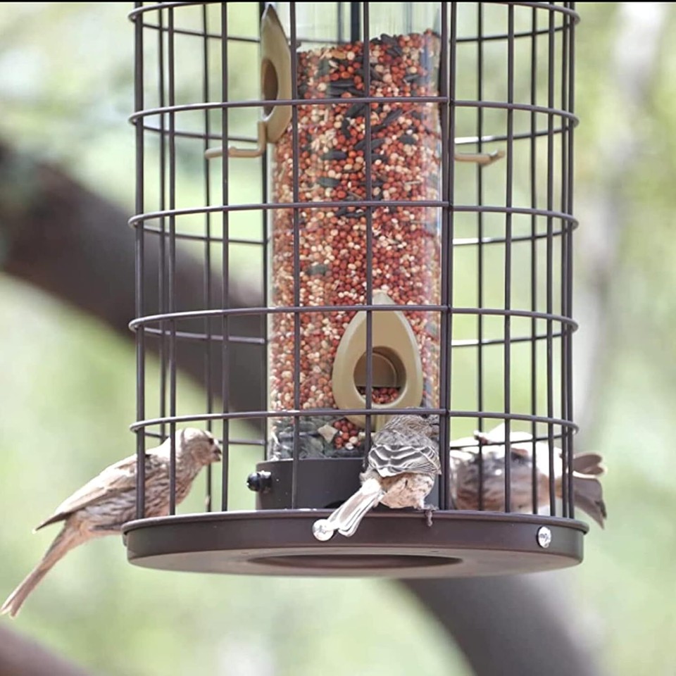 Bird Feeders Metal 3 Lbs SquirrelProof Wild Bird Feeders eBay