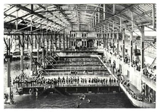 c.1896 SAN FRANCISCO SUTRO BATHS w/BATHERS in SWIMMING POOLS~NEW 1980 POSTCARD