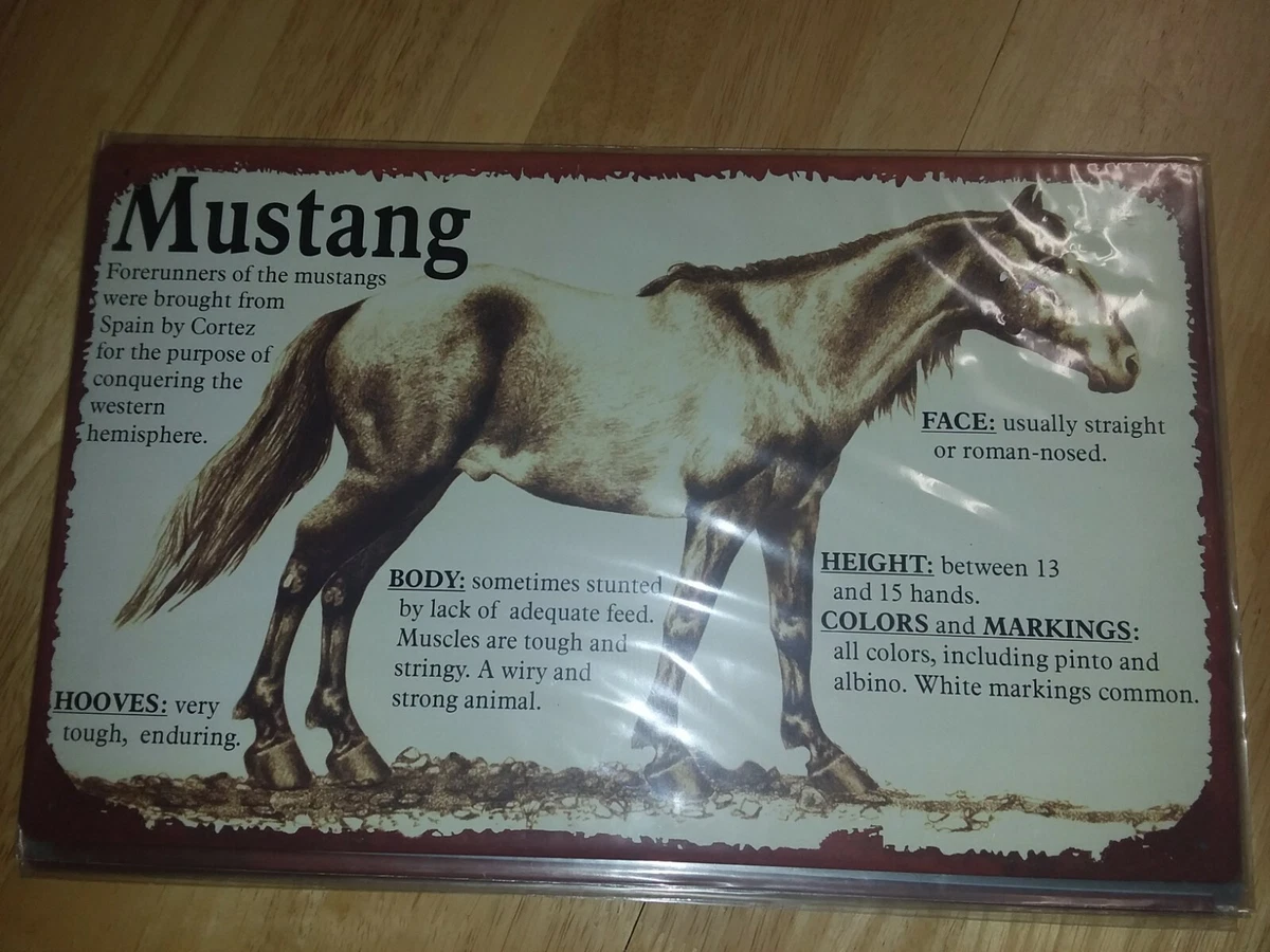 Metal HORSE sign , ARABIAN HORSE Head sign