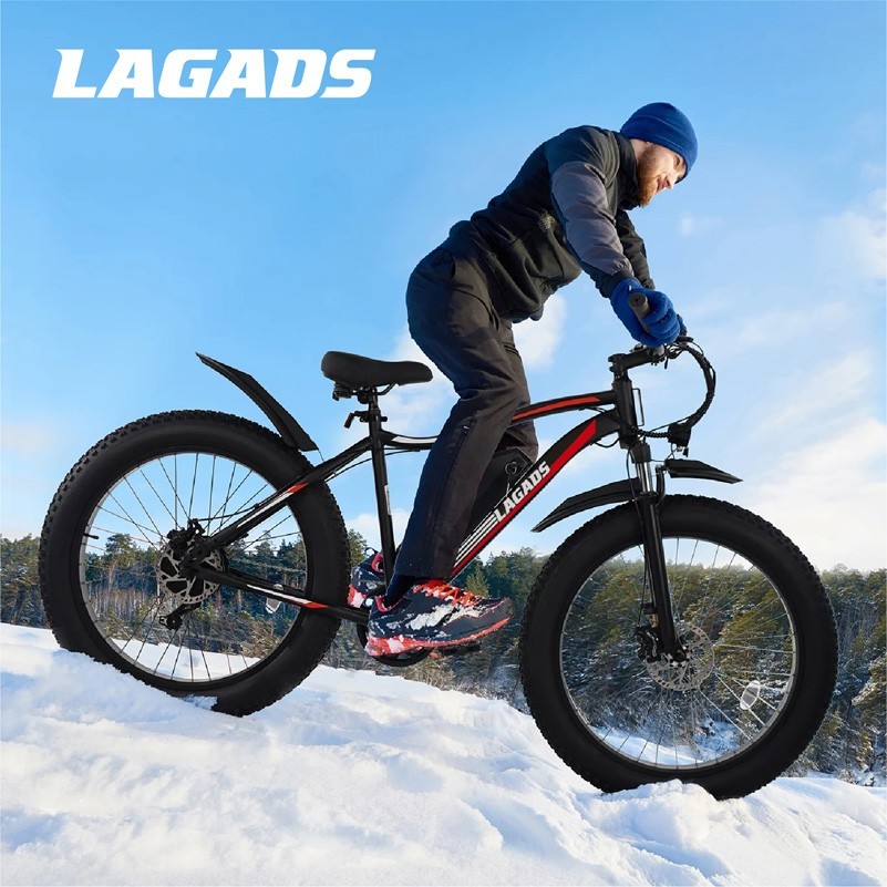 Fat Wheel Bike 48v14.5ah Mtb