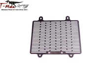 T-Rex Racing 2017 - 2023 BMW G 310 R / G 310 GS Radiator Guard