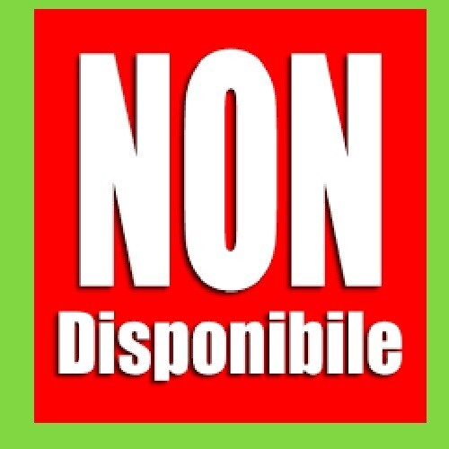 SAINT LAURENT WORK IN PROGRESS NOVEMBRE 2023