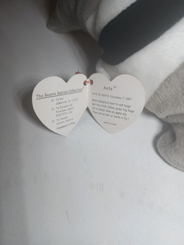 Ty Beanie Baby Ants Retired RARE Errors Pellets dob nov 7 1997 tag 1998 - Picture 4 of 6