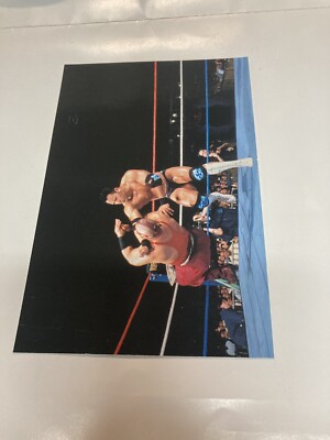 2 Different 1999 Titan the rock wrestlemania live postcards Sports card Sultan
