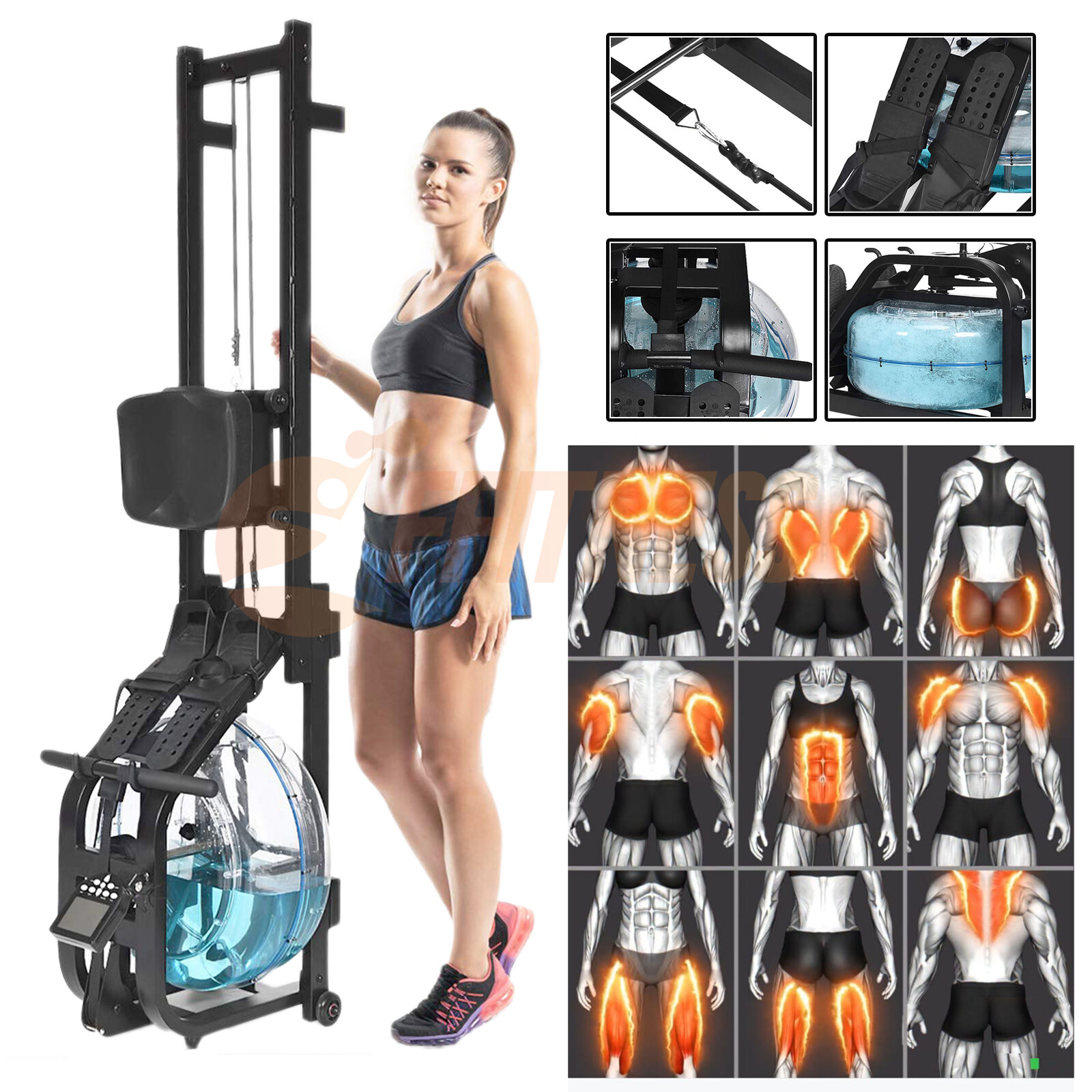 VOGATORE IDRAULICO AD ACQUA PANCA CARDIO AEROBICO PROFESSIONALE OLIMPICO