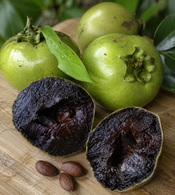 Sale27 Schwarze Sapote Diospyros Kakibaum Nigra 2 Samen