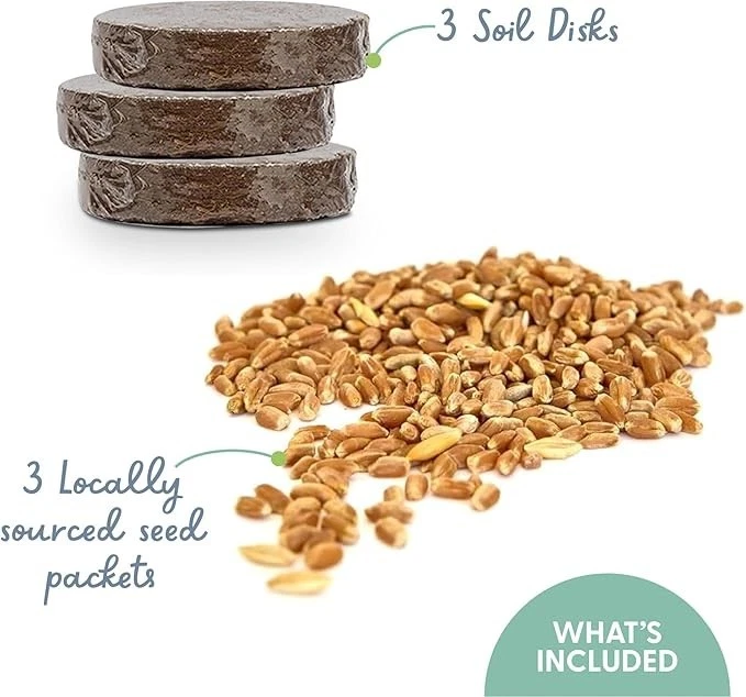 Cat Grass Refill Kit 100% Organic 3 Pack - The Cat Ladies - Image 2 of 4