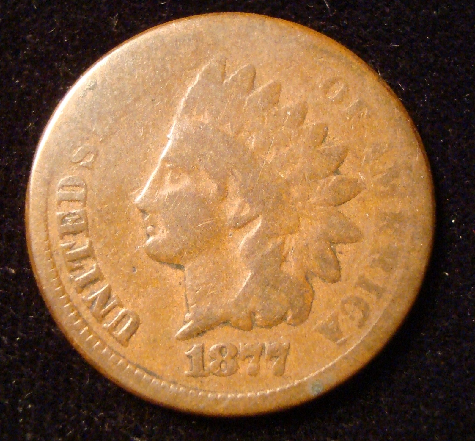 1877 Indian head cent The KEY
