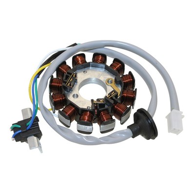 Lichtmaschine Stator 12 Spulen 4pol für PGO Big Max 50 Baujahr 1995-2002