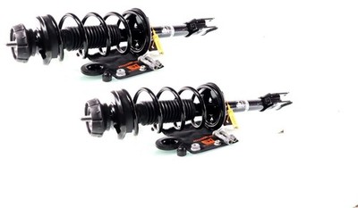 2x Komplett Stoßdämpfer Federbein Satz Hinten für Dacia Duster 4WD BJ. ab 2010-