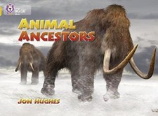 Animal Ancestors - Jon Hughes