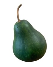 Handpainted Gourd Green Pear 7  X 6  Fall Halloween
