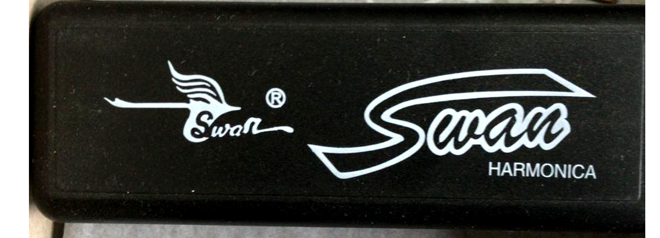 Reed Strumento Swan G Tono 10 Fori Blues Harp Armonica Con La - Foto 2