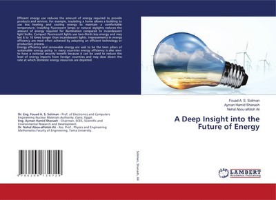 Fouad A. S. Soliman (u. a.) | A Deep Insight into the Future of Energy | Buch