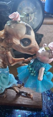 TAXIDERMY mummified fetal piglet *blue tutu piggy* whimsical ODDITIES COLLECTION