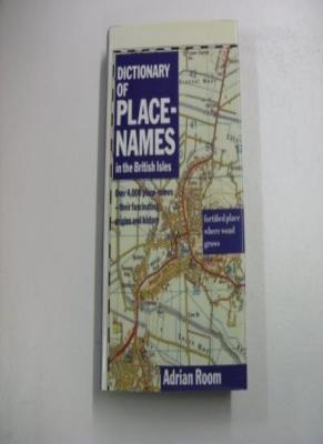 Bloomsbury Dictionary of Place Names in the British Isles By Ad | eBay