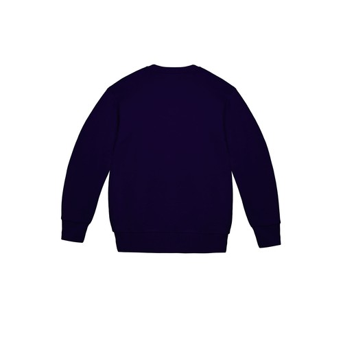 Holiday Time Boys Holiday Sweatshirt Blue Cove Size XS (4-5) - Picture 2 of 7
