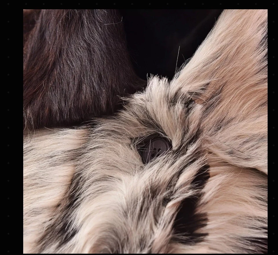 Chaqueta de piel de vaca real para mujer Abrigo de piel de vaca Foto 3 de 4