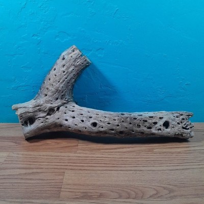 Cholla Wood Branch Perch Birds Reptile Snake Lizard Natural Aquarium Home Decor