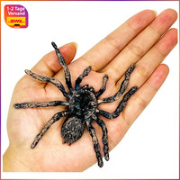 Spinne Spielzeug Halloween Deko Realistisch Kunststoff Klein 1 StüCk Party BüRo
