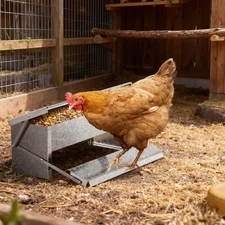 Chicken Nesting Boxes, Metal Chicken Egg Laying Box for Outdoor Chicken Coop