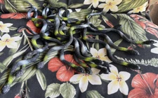 Toy Snakes (12) - Flat - Medusa?