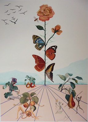 Salvador Dali : Butterfly Rose : Archival Quality Art Print 13x19