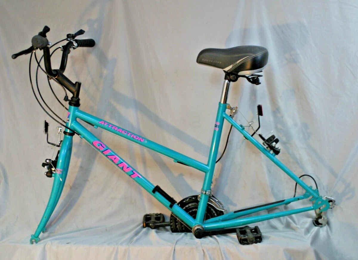 Large 2024 mtb frame