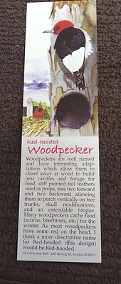 Book Marker, Woodpecker, Wildlife Collectibles, 7'' x 2'', Beautiful Colors