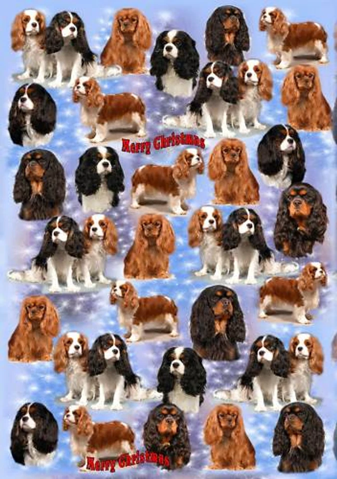 Cavalier King Charles Spaniel Dog Christmas Wrapping Paper By Starprint