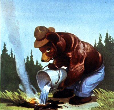 oil painting  on canvas ''   Smokey Bear  pouring a bucket of water over a fire''