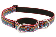 Lupine Martingale Dog Collar 1 Wide El Paso D...