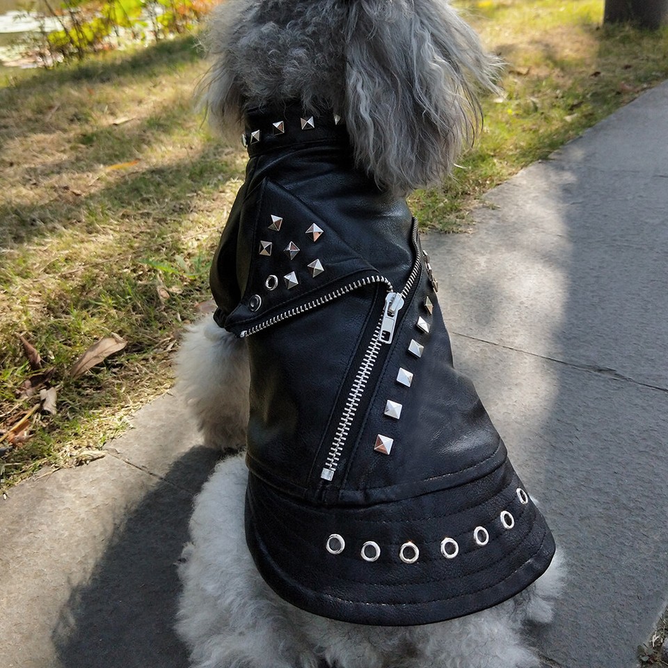 Cool Dog Leather Jacket – Black Motorcycle-Style Coat With Studs, Fits Small To XL Dogs (Chihuahua, Beagle, Etc.)