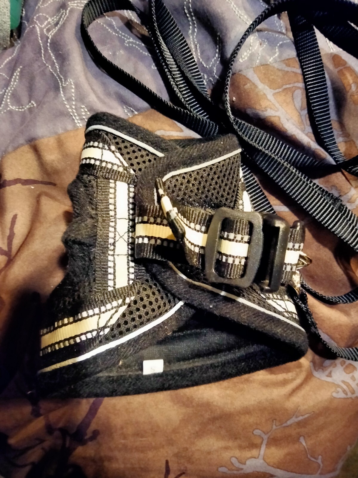 Small Rabbitgoo Dog Harness eBay