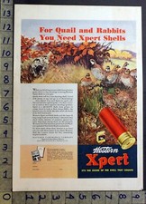1935 SPORT HUNT BIRD DOG QUAGLIA PATRIDGE CONIGLIO WESTERN XPERT MUNIZIONI ALTON ANNUNCIO 31377