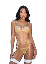 Roma Confidential Li726 Gilded Beauty 3-Piece Lingerie Bra Garter Thong Set