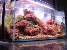Red Lava Rock for Aquascapes