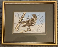 Cash's of Coventry Silk Woven Pictures - Birds - Singing Mistle Thrush
