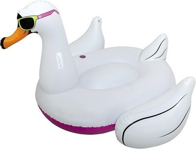 AIRHEAD COOL SWAN 2 PERSON FLOAT